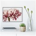 Picture of Flower isolated _GroupedProduct_Rectangle_Landscape_Photography _GroupedProduct_Rectangle_Landscape_Canvas_Framed_