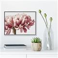 Picture of Flower isolated _GroupedProduct_Rectangle_Landscape_Photography _GroupedProduct_Rectangle_Landscape_Canvas_Framed_
