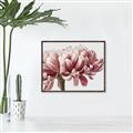 Picture of Flower isolated _GroupedProduct_Rectangle_Landscape_Photography _GroupedProduct_Rectangle_Landscape_Canvas_Framed_