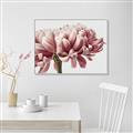 Picture of Flower isolated _GroupedProduct_Rectangle_Landscape_Photography _GroupedProduct_Rectangle_Landscape_Canvas_Framed_