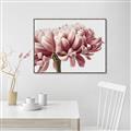Picture of Flower isolated _GroupedProduct_Rectangle_Landscape_Photography _GroupedProduct_Rectangle_Landscape_Canvas_Framed_