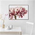 Picture of Flower isolated _GroupedProduct_Rectangle_Landscape_Photography _GroupedProduct_Rectangle_Landscape_Canvas_Framed_