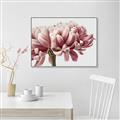 Picture of Flower isolated _GroupedProduct_Rectangle_Landscape_Photography _GroupedProduct_Rectangle_Landscape_Canvas_Framed_