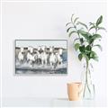 Picture of White Horses _GroupedProduct_Rectangle_Landscape_Photography _GroupedProduct_Rectangle_Landscape_Canvas_Framed_