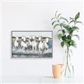 Picture of White Horses _GroupedProduct_Rectangle_Landscape_Photography _GroupedProduct_Rectangle_Landscape_Canvas_Framed_