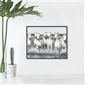 Picture of White Horses _GroupedProduct_Rectangle_Landscape_Photography _GroupedProduct_Rectangle_Landscape_Canvas_Framed_