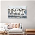 Picture of White Horses _GroupedProduct_Rectangle_Landscape_Photography _GroupedProduct_Rectangle_Landscape_Canvas_Framed_