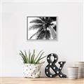 Picture of Black Palm  _GroupedProduct_Rectangle_Landscape_Photography _GroupedProduct_Rectangle_Landscape_Canvas_Framed_