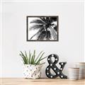 Picture of Black Palm  _GroupedProduct_Rectangle_Landscape_Photography _GroupedProduct_Rectangle_Landscape_Canvas_Framed_