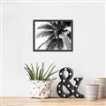 Picture of Black Palm  _GroupedProduct_Rectangle_Landscape_Photography _GroupedProduct_Rectangle_Landscape_Canvas_Framed_