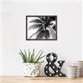 Picture of Black Palm  _GroupedProduct_Rectangle_Landscape_Photography _GroupedProduct_Rectangle_Landscape_Canvas_Framed_