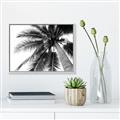 Picture of Black Palm  _GroupedProduct_Rectangle_Landscape_Photography _GroupedProduct_Rectangle_Landscape_Canvas_Framed_