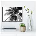 Picture of Black Palm  _GroupedProduct_Rectangle_Landscape_Photography _GroupedProduct_Rectangle_Landscape_Canvas_Framed_
