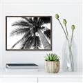 Picture of Black Palm  _GroupedProduct_Rectangle_Landscape_Photography _GroupedProduct_Rectangle_Landscape_Canvas_Framed_
