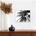Picture of Black Palm  _GroupedProduct_Rectangle_Landscape_Photography _GroupedProduct_Rectangle_Landscape_Canvas_Framed_