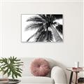 Picture of Black Palm  _GroupedProduct_Rectangle_Landscape_Photography _GroupedProduct_Rectangle_Landscape_Canvas_Framed_