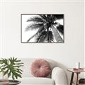 Picture of Black Palm  _GroupedProduct_Rectangle_Landscape_Photography _GroupedProduct_Rectangle_Landscape_Canvas_Framed_