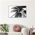 Picture of Black Palm  _GroupedProduct_Rectangle_Landscape_Photography _GroupedProduct_Rectangle_Landscape_Canvas_Framed_