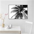 Picture of Black Palm  _GroupedProduct_Rectangle_Landscape_Photography _GroupedProduct_Rectangle_Landscape_Canvas_Framed_