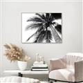 Picture of Black Palm  _GroupedProduct_Rectangle_Landscape_Photography _GroupedProduct_Rectangle_Landscape_Canvas_Framed_