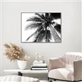 Picture of Black Palm  _GroupedProduct_Rectangle_Landscape_Photography _GroupedProduct_Rectangle_Landscape_Canvas_Framed_