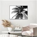 Picture of Black Palm  _GroupedProduct_Rectangle_Landscape_Photography _GroupedProduct_Rectangle_Landscape_Canvas_Framed_
