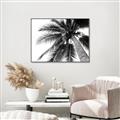 Picture of Black Palm  _GroupedProduct_Rectangle_Landscape_Photography _GroupedProduct_Rectangle_Landscape_Canvas_Framed_
