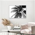 Picture of Black Palm  _GroupedProduct_Rectangle_Landscape_Photography _GroupedProduct_Rectangle_Landscape_Canvas_Framed_
