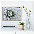 Picture of Landscaped flower Bed _GroupedProduct_Rectangle_Landscape_Photography _GroupedProduct_Rectangle_Landscape_Canvas_Framed_
