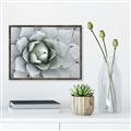 Picture of Landscaped flower Bed _GroupedProduct_Rectangle_Landscape_Photography _GroupedProduct_Rectangle_Landscape_Canvas_Framed_