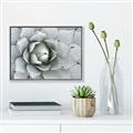Picture of Landscaped flower Bed _GroupedProduct_Rectangle_Landscape_Photography _GroupedProduct_Rectangle_Landscape_Canvas_Framed_