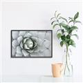 Picture of Landscaped flower Bed _GroupedProduct_Rectangle_Landscape_Photography _GroupedProduct_Rectangle_Landscape_Canvas_Framed_