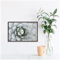 Picture of Landscaped flower Bed _GroupedProduct_Rectangle_Landscape_Photography _GroupedProduct_Rectangle_Landscape_Canvas_Framed_