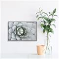 Picture of Landscaped flower Bed _GroupedProduct_Rectangle_Landscape_Photography _GroupedProduct_Rectangle_Landscape_Canvas_Framed_