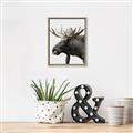 Picture of Moose _GroupedProduct_Rectangle_Portrait_Photography _GroupedProduct_Rectangle_Portrait_Canvas_Framed_