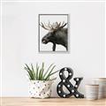 Picture of Moose _GroupedProduct_Rectangle_Portrait_Photography _GroupedProduct_Rectangle_Portrait_Canvas_Framed_