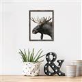 Picture of Moose _GroupedProduct_Rectangle_Portrait_Photography _GroupedProduct_Rectangle_Portrait_Canvas_Framed_