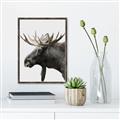 Picture of Moose _GroupedProduct_Rectangle_Portrait_Photography _GroupedProduct_Rectangle_Portrait_Canvas_Framed_