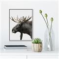 Picture of Moose _GroupedProduct_Rectangle_Portrait_Photography _GroupedProduct_Rectangle_Portrait_Canvas_Framed_