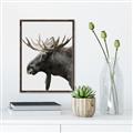 Picture of Moose _GroupedProduct_Rectangle_Portrait_Photography _GroupedProduct_Rectangle_Portrait_Canvas_Framed_