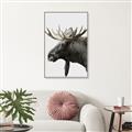Picture of Moose _GroupedProduct_Rectangle_Portrait_Photography _GroupedProduct_Rectangle_Portrait_Canvas_Framed_
