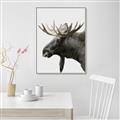 Picture of Moose _GroupedProduct_Rectangle_Portrait_Photography _GroupedProduct_Rectangle_Portrait_Canvas_Framed_