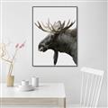Picture of Moose _GroupedProduct_Rectangle_Portrait_Photography _GroupedProduct_Rectangle_Portrait_Canvas_Framed_