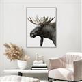 Picture of Moose _GroupedProduct_Rectangle_Portrait_Photography _GroupedProduct_Rectangle_Portrait_Canvas_Framed_