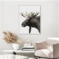 Picture of Moose _GroupedProduct_Rectangle_Portrait_Photography _GroupedProduct_Rectangle_Portrait_Canvas_Framed_