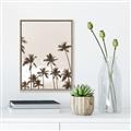 Picture of Palm Goddess _GroupedProduct_Rectangle_Portrait_Photography _GroupedProduct_Rectangle_Portrait_Canvas_Framed_