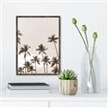 Picture of Palm Goddess _GroupedProduct_Rectangle_Portrait_Photography _GroupedProduct_Rectangle_Portrait_Canvas_Framed_