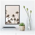 Picture of Palm Goddess _GroupedProduct_Rectangle_Portrait_Photography _GroupedProduct_Rectangle_Portrait_Canvas_Framed_