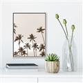 Picture of Palm Goddess _GroupedProduct_Rectangle_Portrait_Photography _GroupedProduct_Rectangle_Portrait_Canvas_Framed_