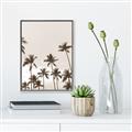 Picture of Palm Goddess _GroupedProduct_Rectangle_Portrait_Photography _GroupedProduct_Rectangle_Portrait_Canvas_Framed_